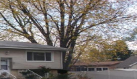4914 West 155th Street, Oak Forest, IL 60452 