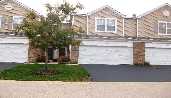 599 Springbrook Trail North, Oswego, IL 60543 