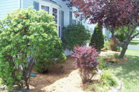 4833 Augusta Blvd, Monee, IL 60449 