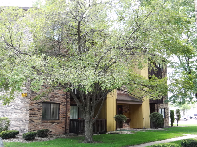 1255 Cunningham Dr,2e, Calumet City, IL 60409 