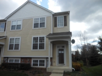 335 Terra Springs Cir, Volo, IL 60020 
