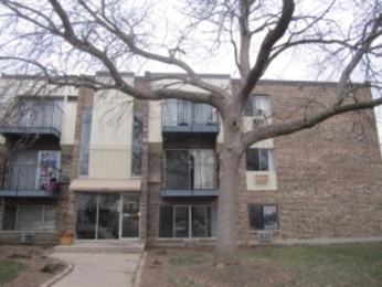1469 N Winslowe Dr #204, Palatine, IL 60074 