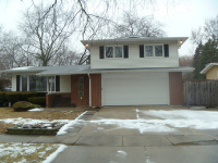 250 N Pleasant Dr, Glenwood, IL 60425 