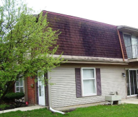 607 Burgess Ct, Schaumburg, IL 60194 