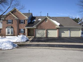 206 Dublin Lane #v2, Schaumburg, IL 60194 