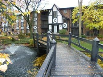 13622 Royal Ct #823, Crestwood, IL 60445 