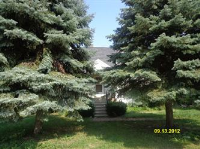 10514 Schubert Ave, Melrose Park, IL 60164 