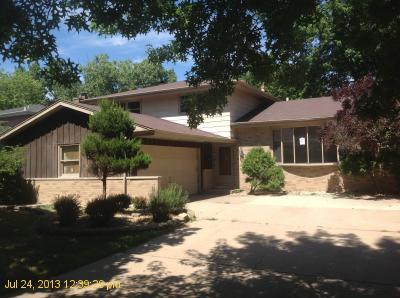 817 Rose Lane, Matteson, IL 60443 