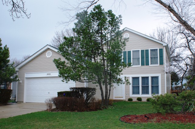 1916 Kingsley Drive, Schaumburg, IL 60194 