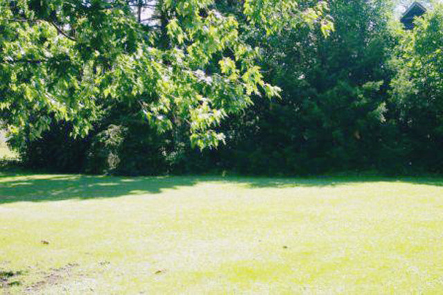 300 East Haven Street, Arlington Heights, IL 60005 