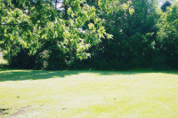 300 East Haven Street, Arlington Heights, IL 60005 