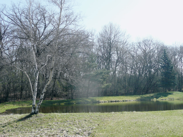 25445 Wagon Wheel, Barrington, IL 25445 