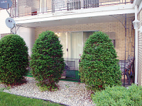 9407 S Roberts Rd, # 1NW, Hickory Hills, IL 60457 