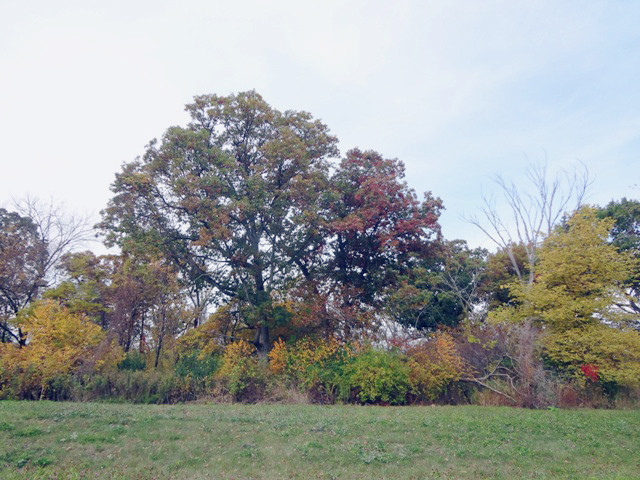 101 Kyle Lane, Kirkland, IL 60146 