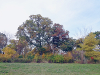 101 Kyle Lane, Kirkland, IL 60146 