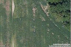 Rr 2 Box 257, Sumner, IL 62466 