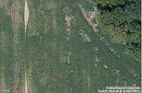 Rr 2 Box 257, Sumner, IL 62466 