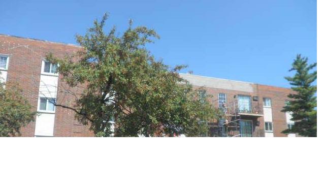 103 W Elk Trl Apt 102, Carol Stream, IL 60188 