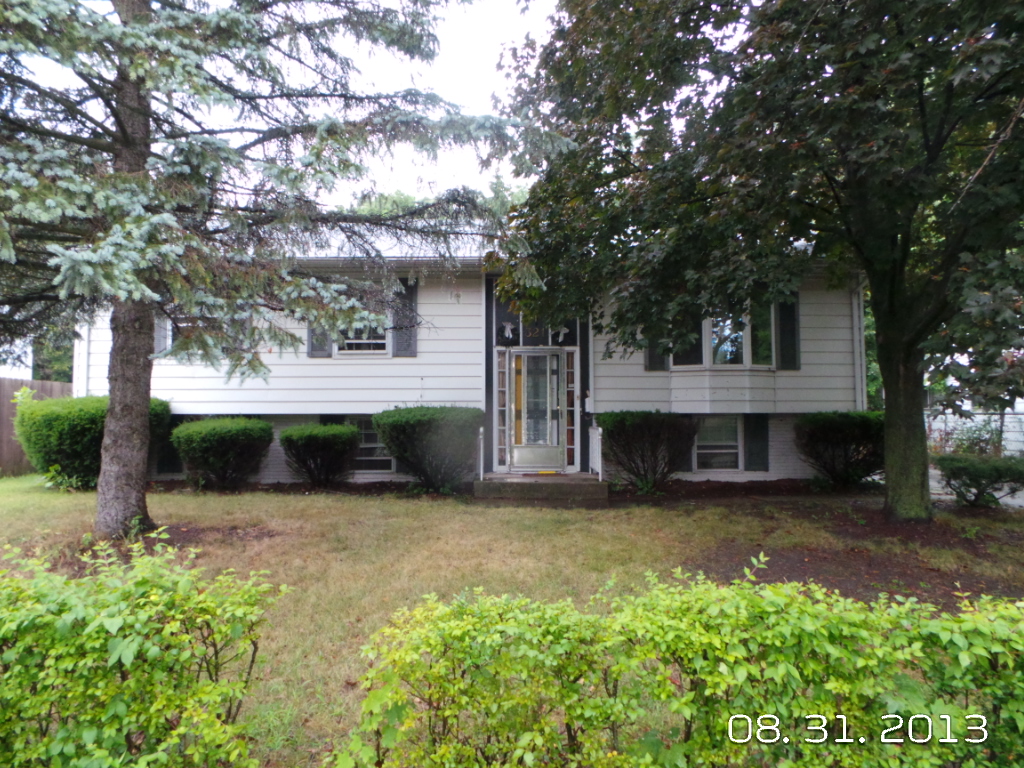 321 East Maple Drive, Glenwood, IL 60425 