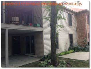 1708 Fayette Walk C, Hoffman Estates, IL 60169 