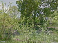 Natalie, East Saint Louis, IL 62205 