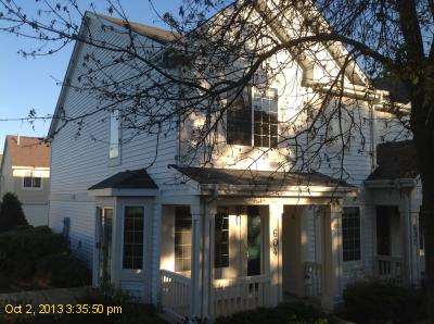 604 Crystal Springs, Fox Lake, IL 60020 