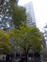 253 E Delaware Pl Uni, Chicago, IL 60611 