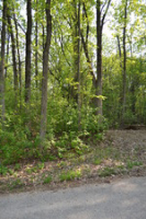 22243 Lee Drive, Antioch, IL 60002 