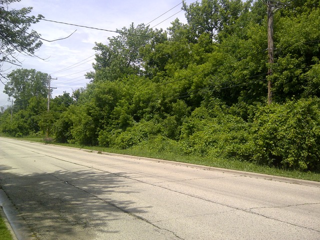 Lot 13 Brink Street, Harvard, IL 60033 