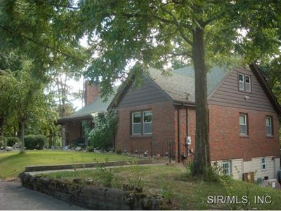 8567 SCHIEN Road, Worden, IL 62097 