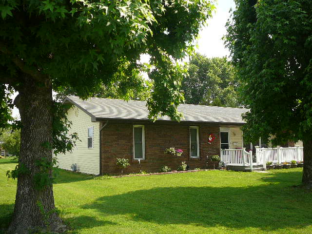 207 W Jenkins, Steeleville, IL 62288 