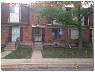 2052 Richton Pl, Richton Park, IL 60471 