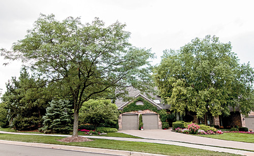 14354 Crystal Tree Dr, Orland Park, IL 14354 