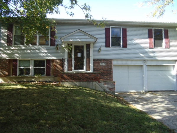 217 N Schmidt Rd, Bolingbrook, IL 60440 