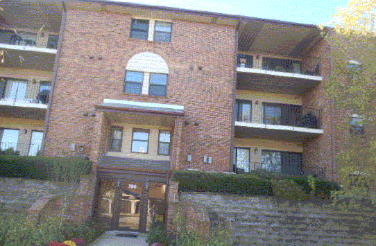 780 Weidner #205, Buffalo Grove, IL 60089 
