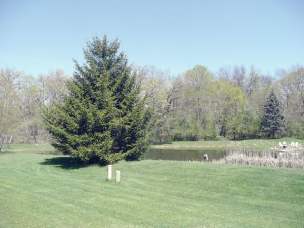 25445 North WAGON WHEEL Court, Barrington, IL 25445 