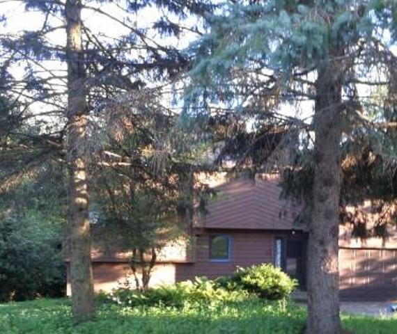 141 Castlewood Dr, Carpentersville, IL 60110 