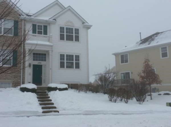 1291 Derry Ln, Pingree Grove, IL 60140 