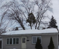 17 Pine Street, Carpentersville, IL 60110 