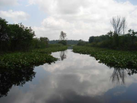 205 edgewater, Syracuse, IN 46567 