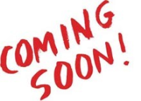 62430 Locust Rd. Lot 15, South Bend, IN 46614 