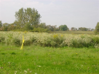 0 Spring Canyon/TBD, Hebron, IN 46341 