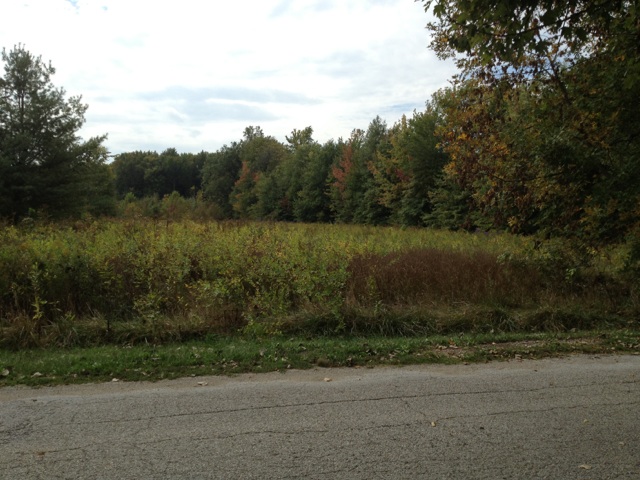 00 Nellies Lane, Brazil, IN 47834 