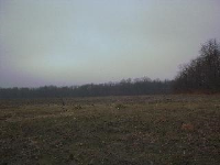 N CR 300 E, Brazil, IN 47834 