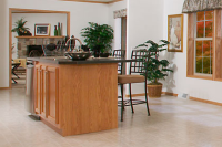 213 White Street, Edwardsville, KS 66113 