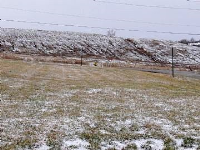 Lots 5, 6, 7 Wendell Replat, Lansing, KS 66043 