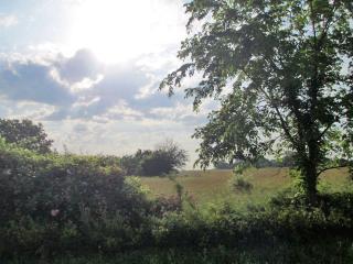 00000 Ullery Road, Lacygne, KS 66040 