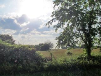 00000 Ullery Road, Lacygne, KS 66040 