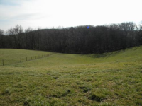 2059 HAYS SMITHS GROVE RD, Smiths Grove, KY 42171 