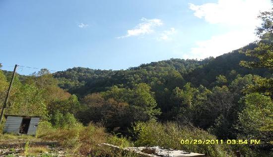 1132 Redmorg Branch, Teaberry, KY 41660 